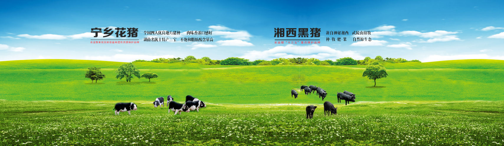 宝运莱_官方网站app下载