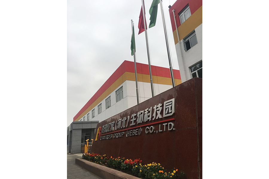 基地-门头.jpg 基地-门头.jpg